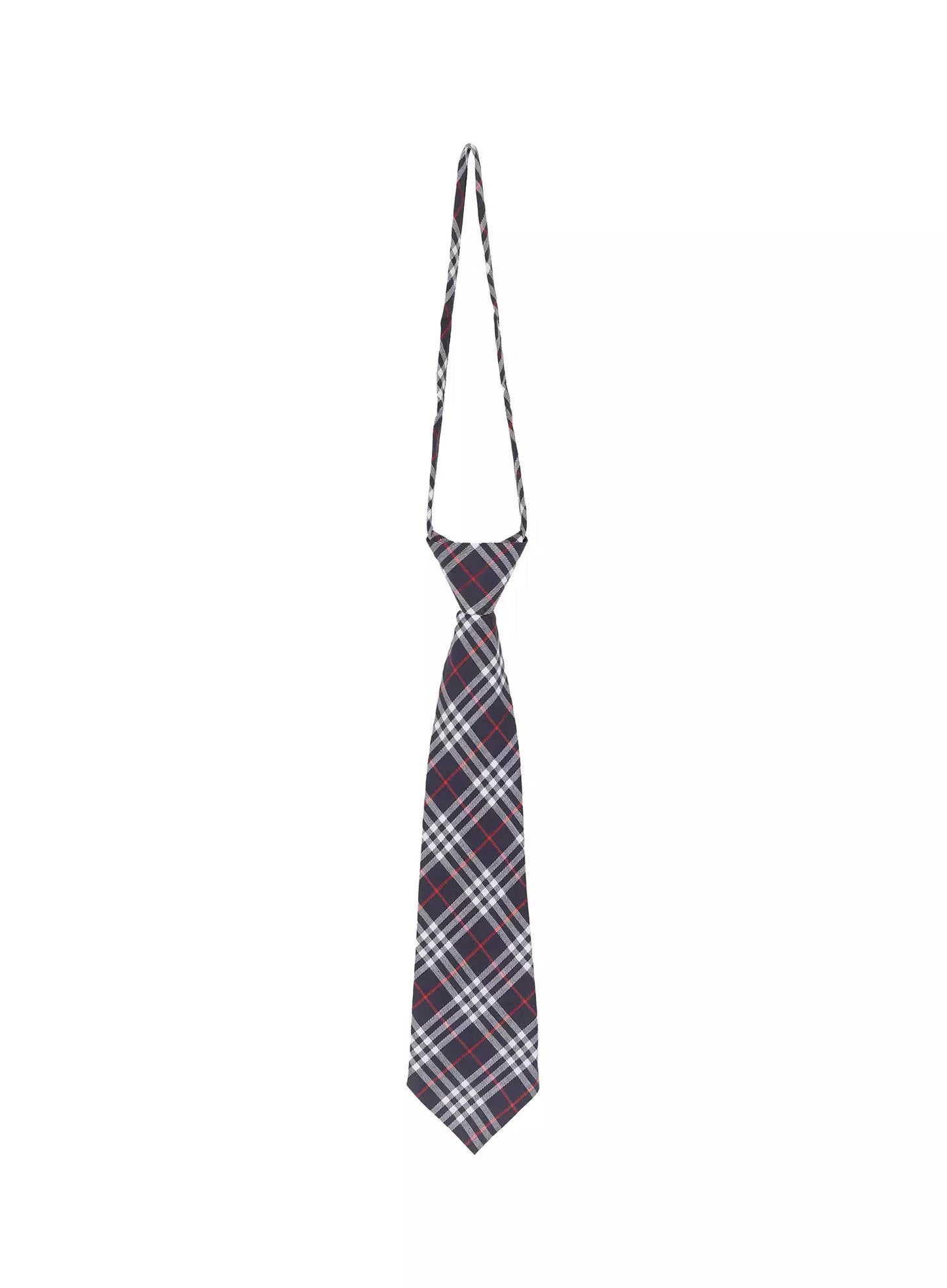 Classic Checkered Tie IF505