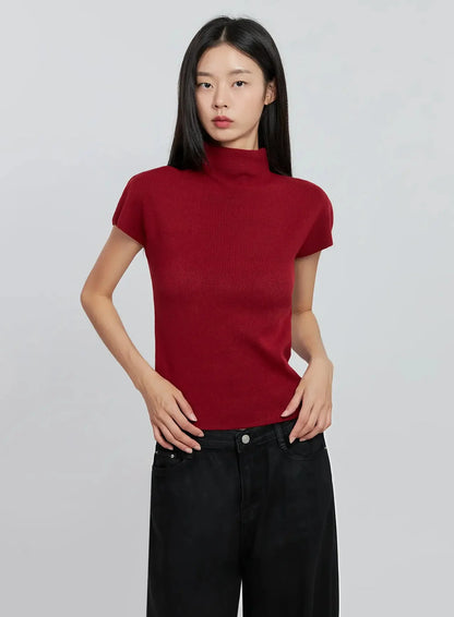 Chic High Neck Knit Top IO530