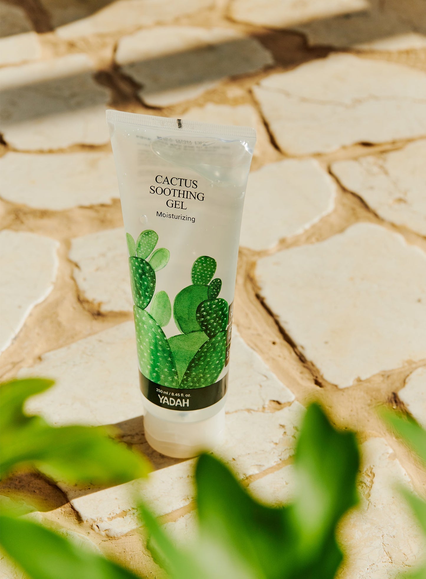 Cactus Soothing Gel (250g)