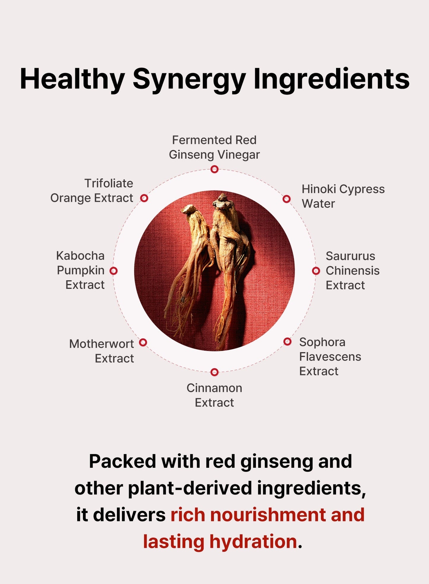 Bonyongo Red Ginseng Vinegar Emulsion (150ml)