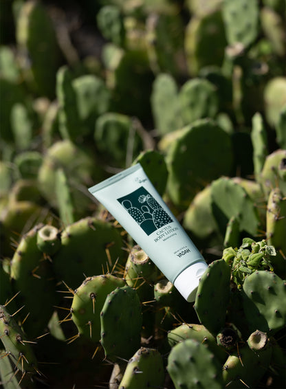 Cactus Body Lotion (200ml)