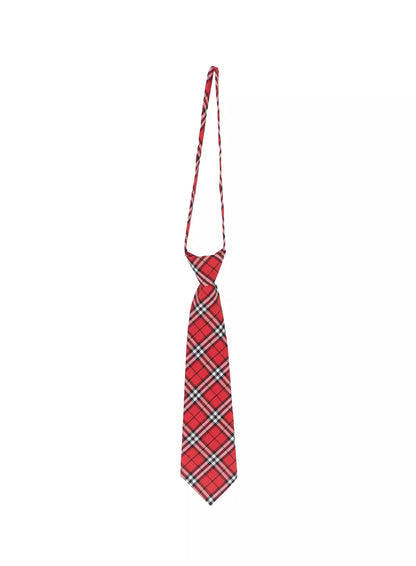Classic Checkered Tie IF505