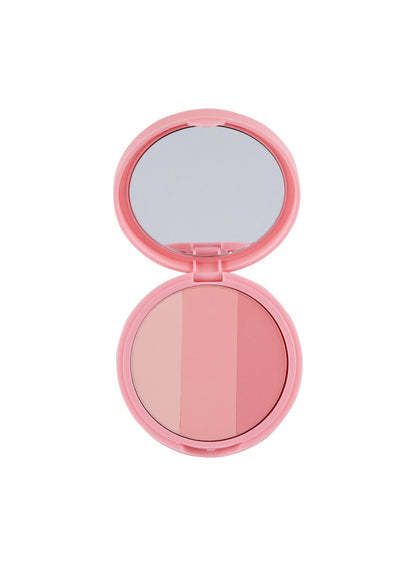 Artclass By Rodin Blusher (9.5g)