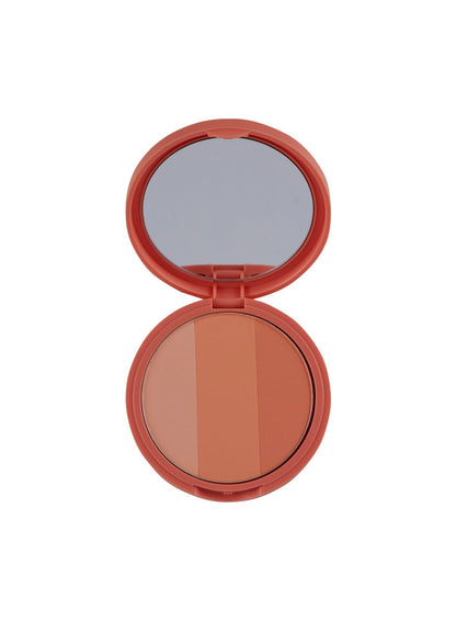 Artclass By Rodin Blusher (9.5g)