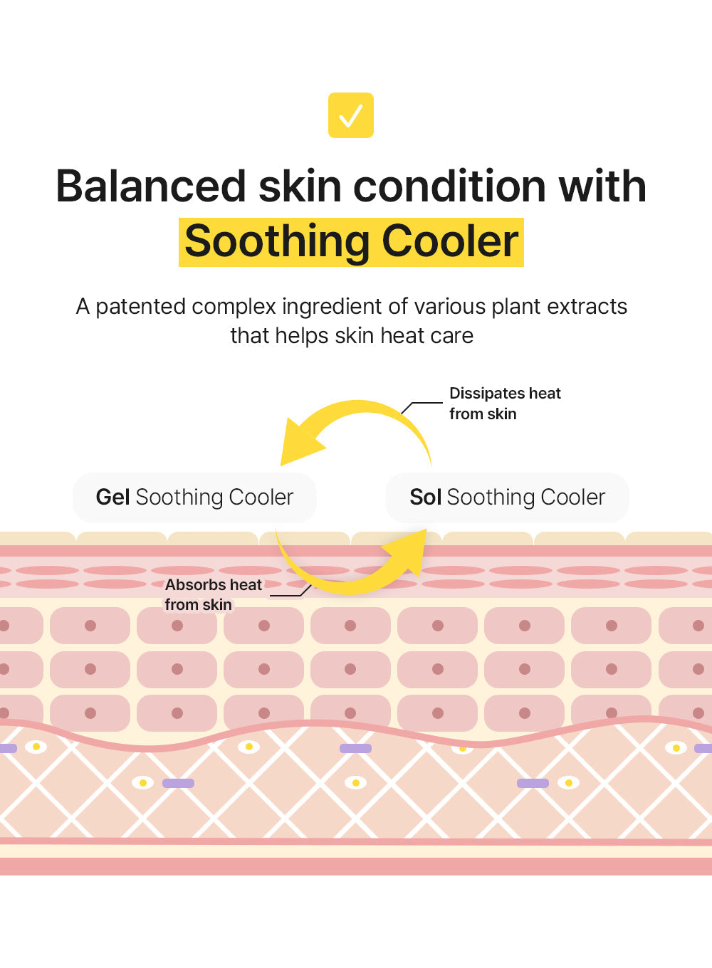 All-day Airy Sunscreen Duo Set (50g*2ea)